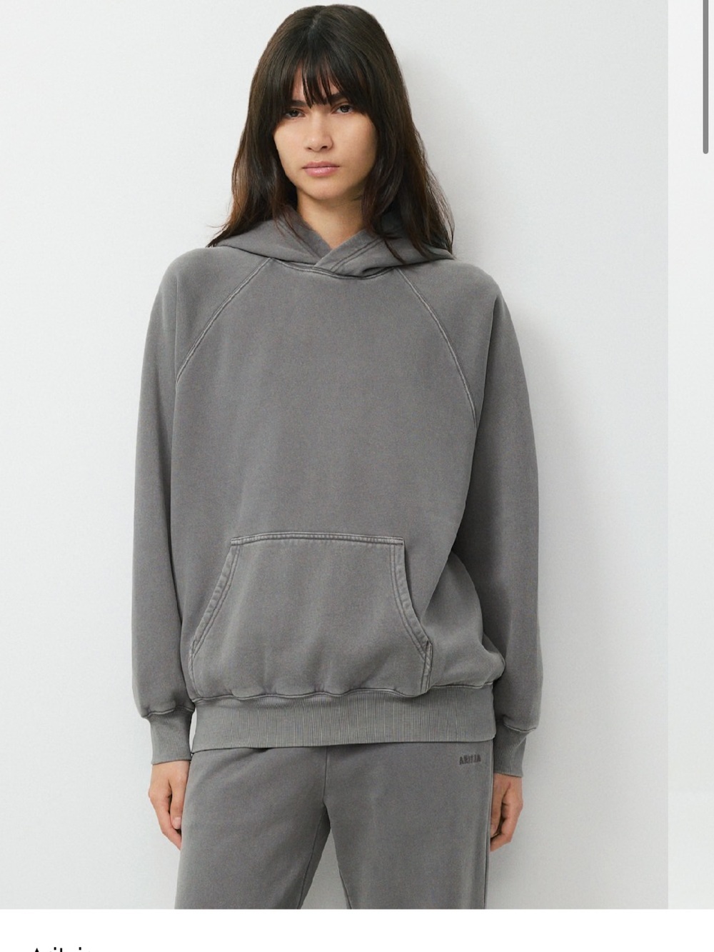 Aritzia Cozy Sweatfleece Mega Raglan Hoodie - Gray